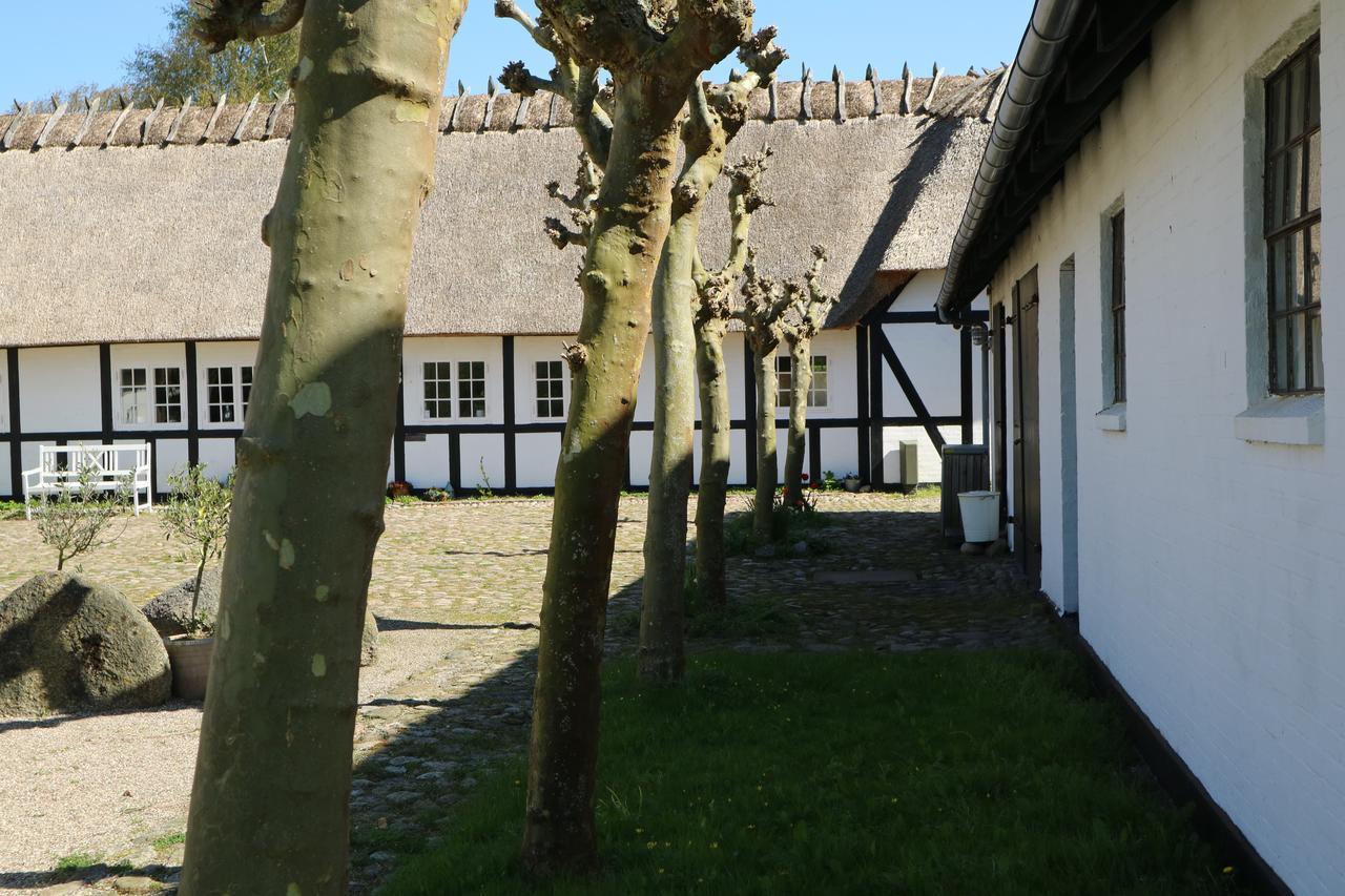 Birkelygaard Bed & Breakfast Hårby エクステリア 写真